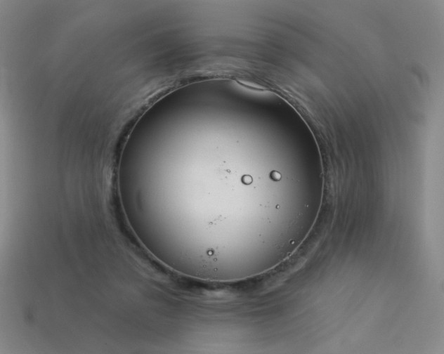 X0000114120309200910051516