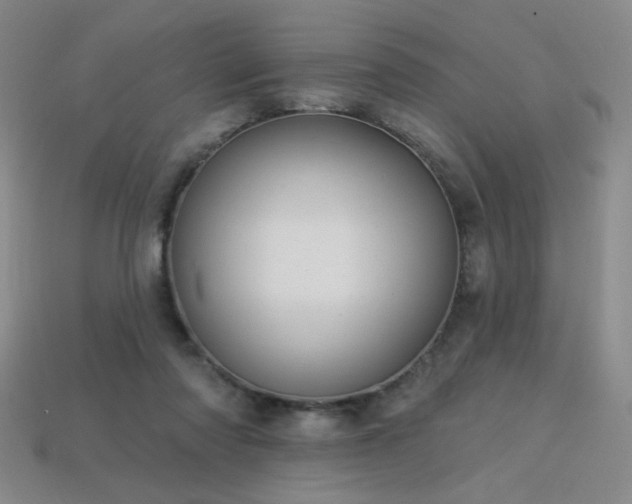 X0000114120310200910051516