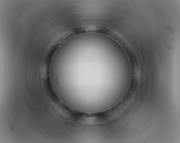 X0000114120311200910051516