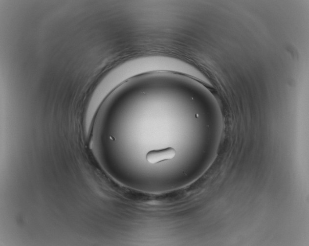 X0000114120312200910051516