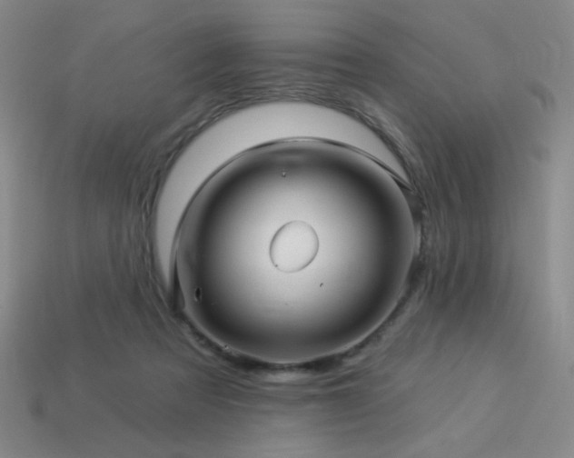 X0000114120313200910051516