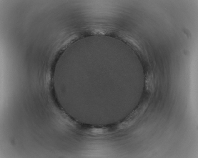 X0000114120314200910051516