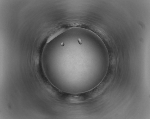 X0000114120315200910051516