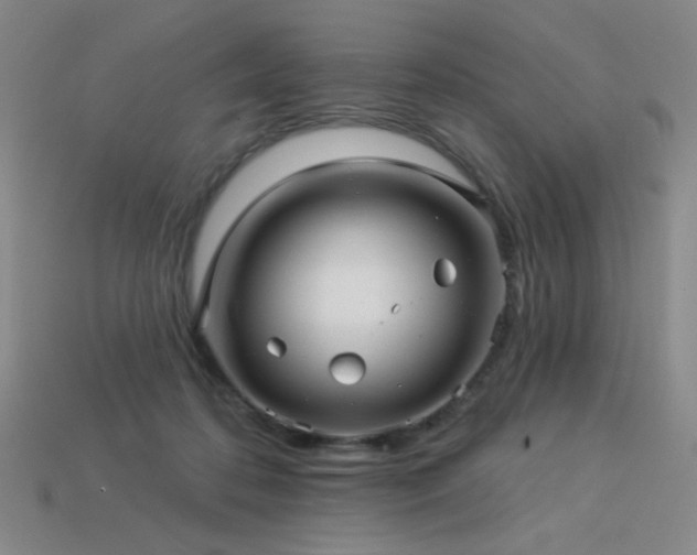 X0000114120316200910051516