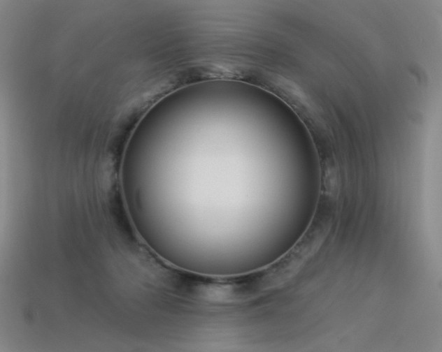 X0000114120318200910051516