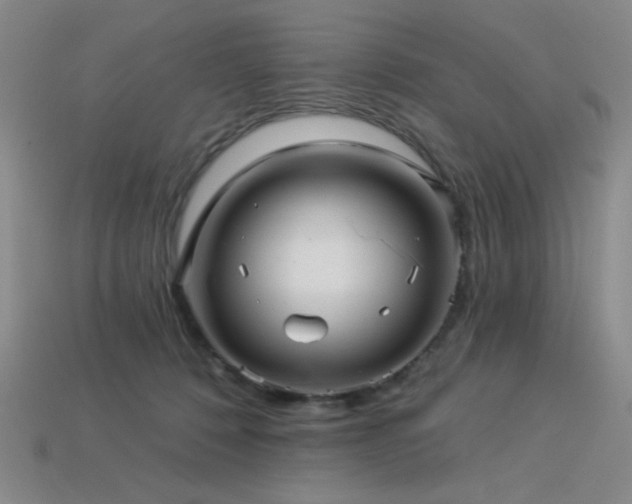 X0000114120320200910051516