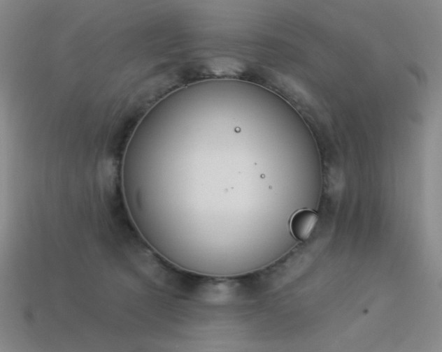 X0000114120321200910051516