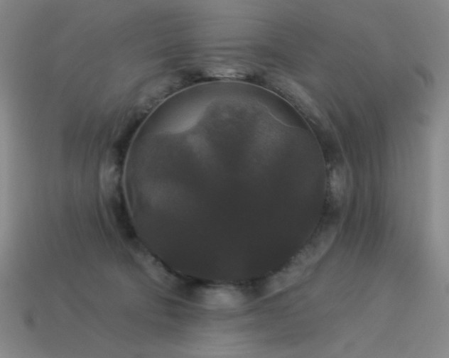 X0000114120322200910051516