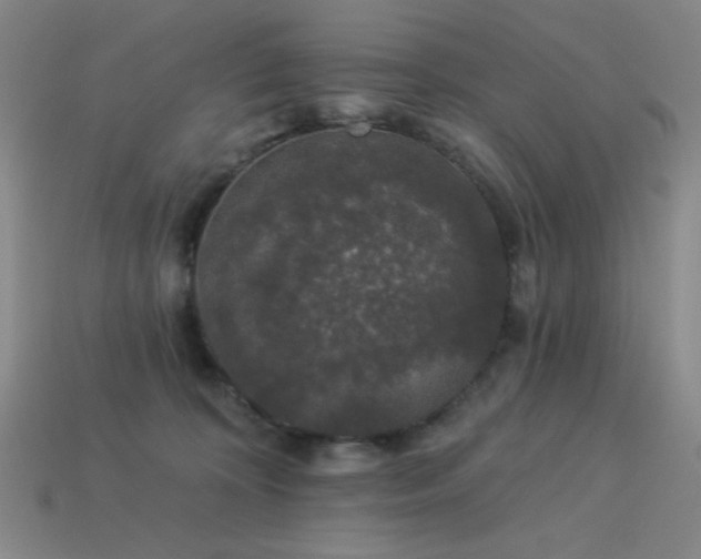 X0000114120324200910051516