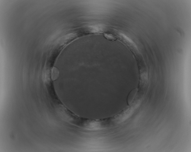 X0000114120325200910051516