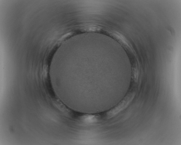 X0000114120326200910051516