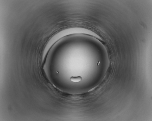 X0000114120327200910051516