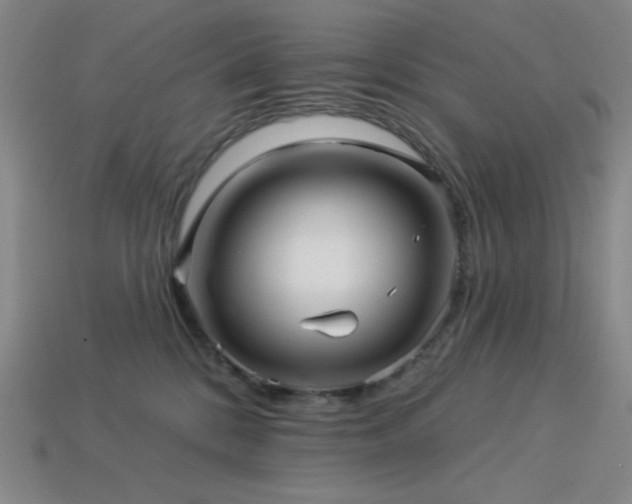 X0000114120328200910051516