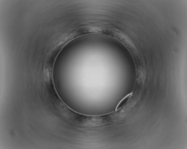 X0000114120329200910051516