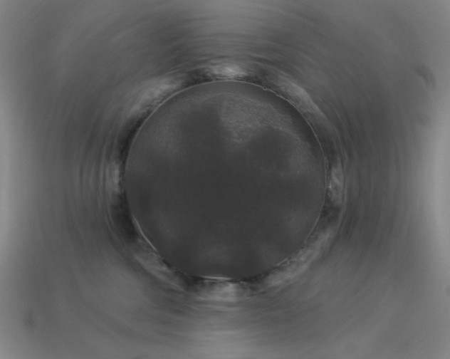 X0000114120330200910051516