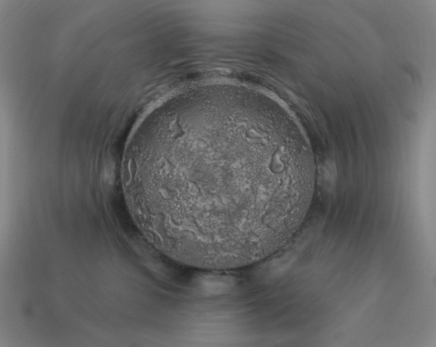 X0000114120331200910051516