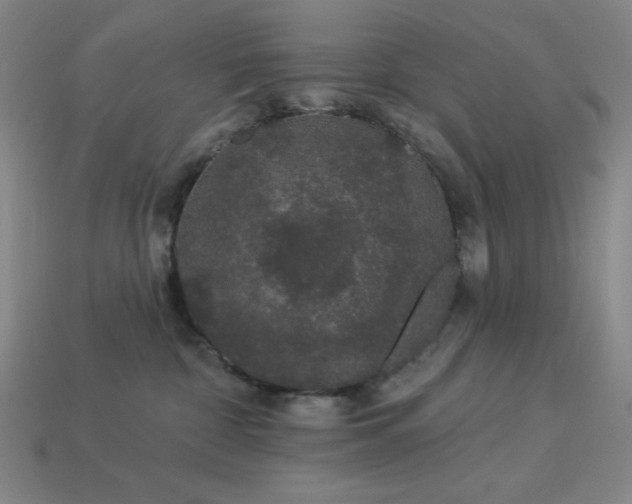 X0000114120332200910051516