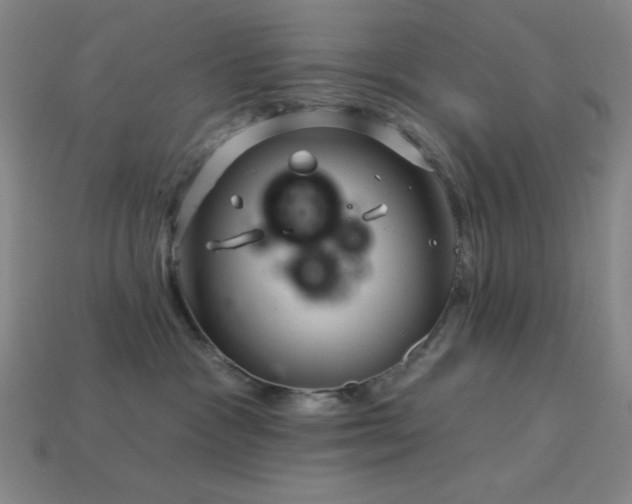 X0000114120333200910051516