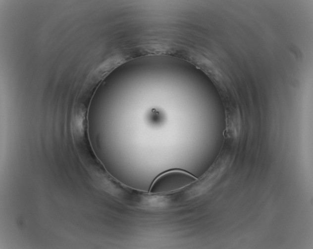 X0000114120334200910051516