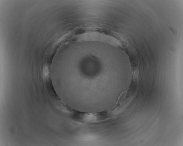 X0000114120335200910051516