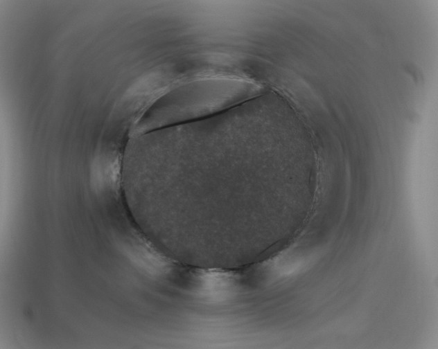 X0000114120336200910051516