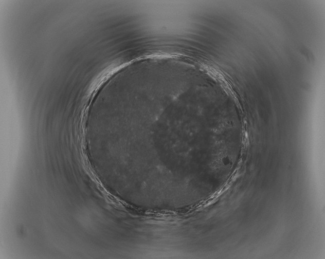 X0000114120337200910051515