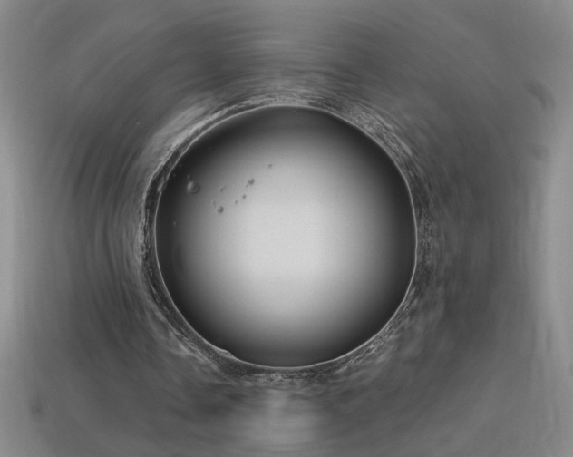 X0000114120338200910051515