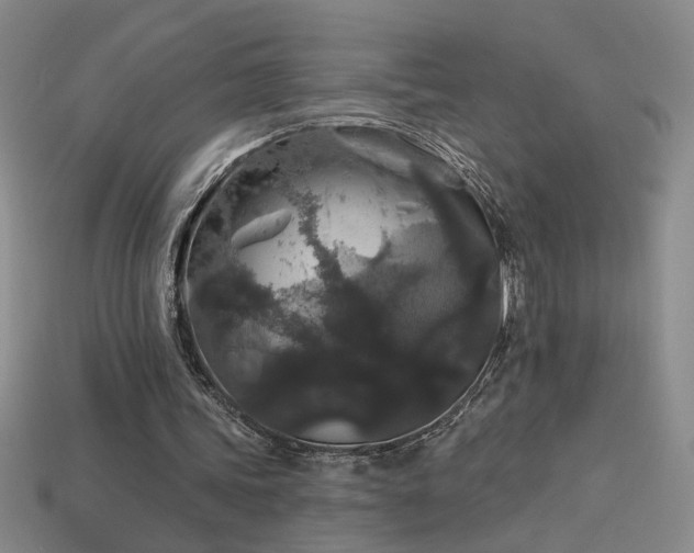 X0000114120339200910051515