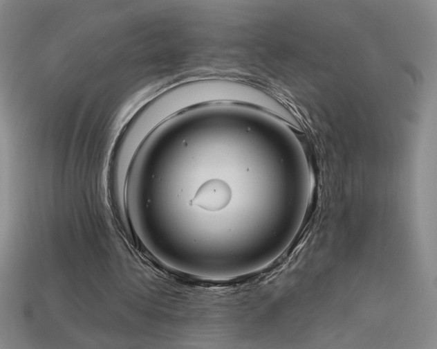 X0000114120340200910051515