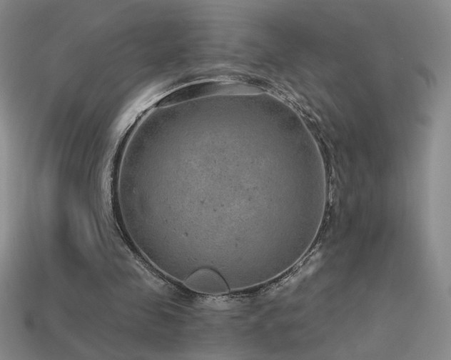 X0000114120341200910051515