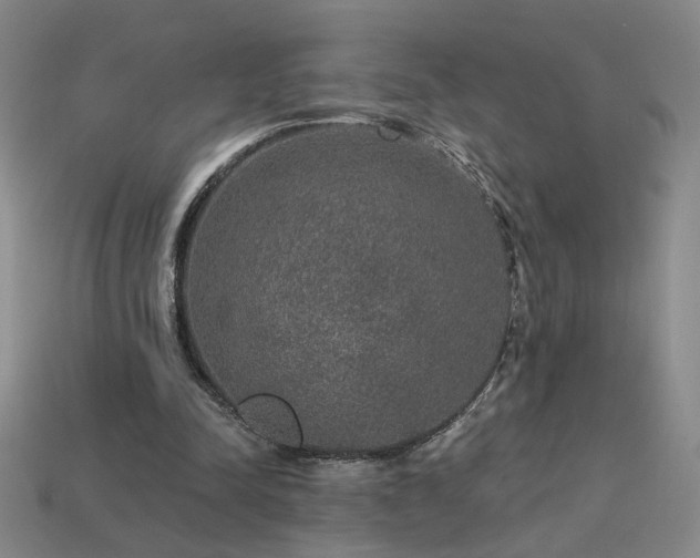 X0000114120342200910051515