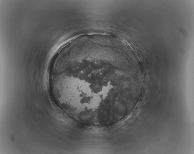 X0000114120343200910051515