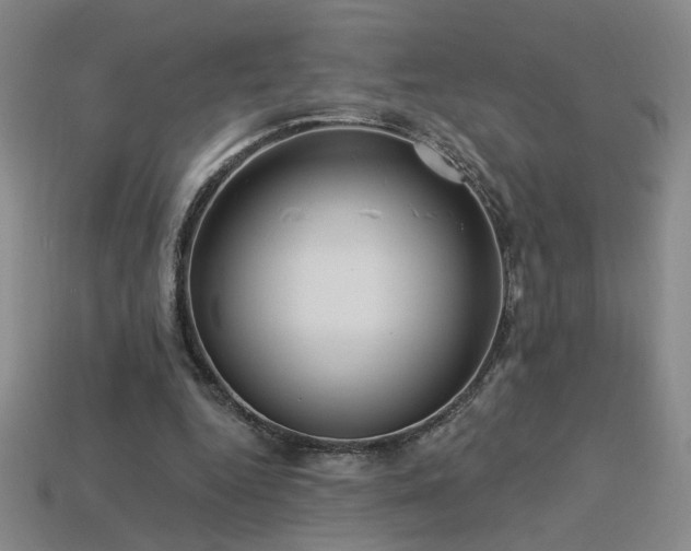 X0000114120344200910051515