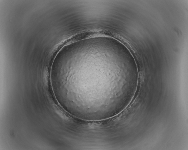 X0000114120345200910051515