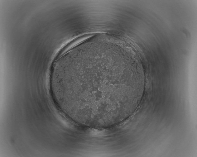 X0000114120346200910051515