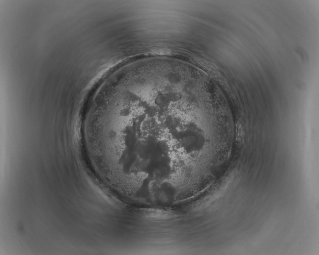 X0000114120347200910051515