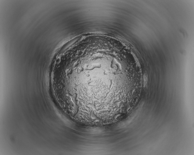 X0000114120349200910051515