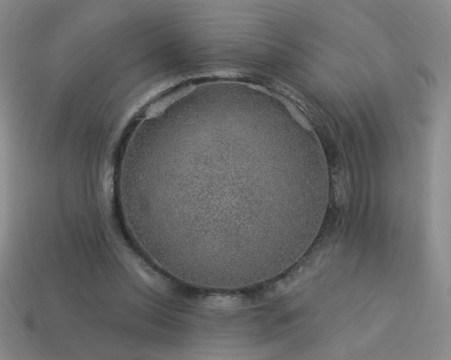 X0000114120350200910051515