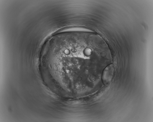 X0000114120351200910051515