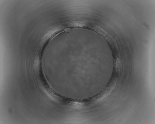 X0000114120352200910051515