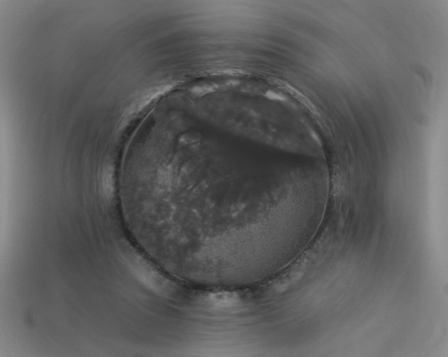 X0000114120353200910051515