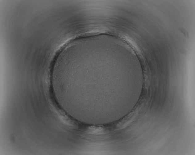 X0000114120354200910051515