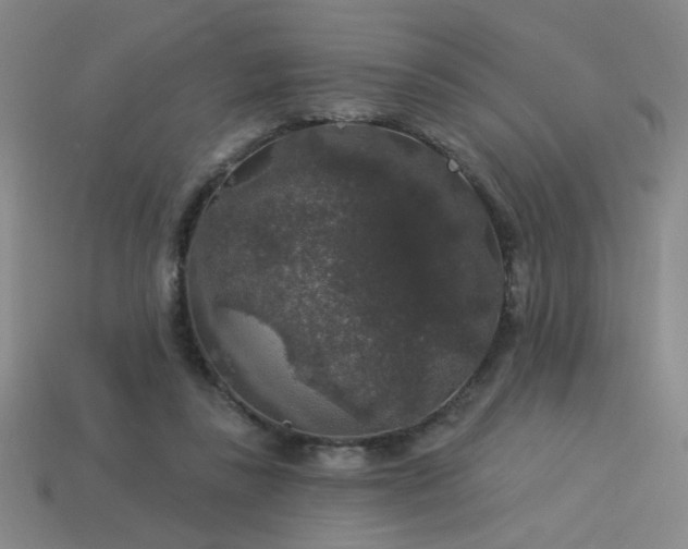 X0000114120355200910051515