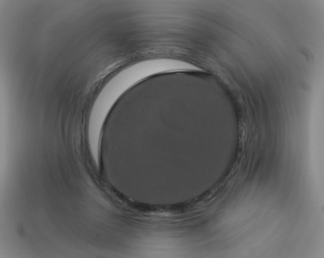 X0000114120356200910051515