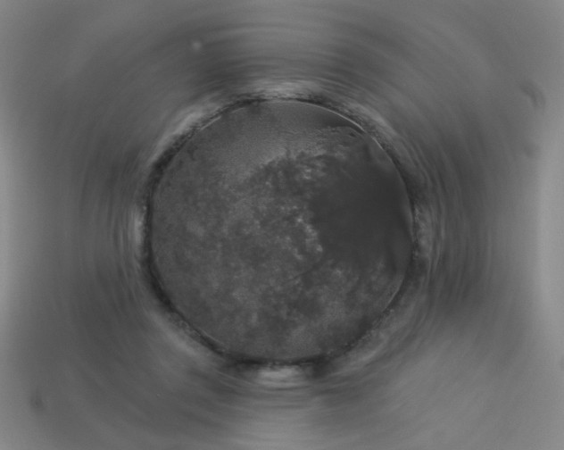 X0000114120357200910051515