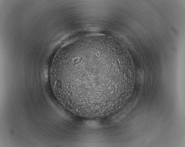 X0000114120358200910051515