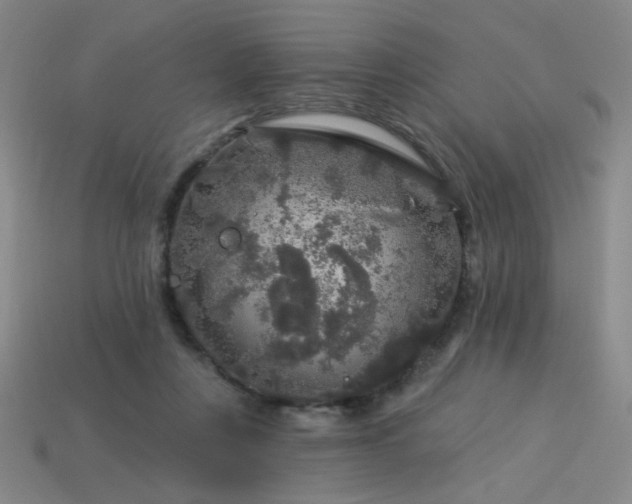 X0000114120359200910051515