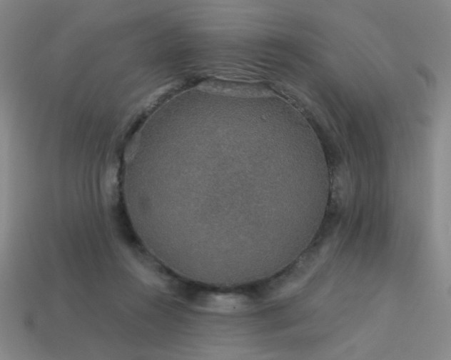 X0000114120360200910051515