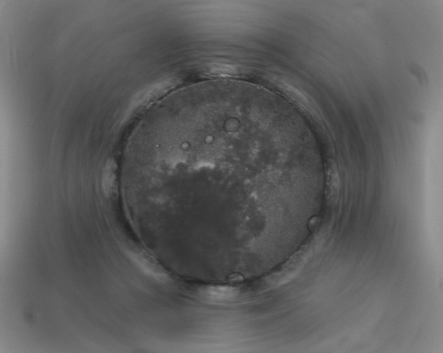 X0000114120361200910051515