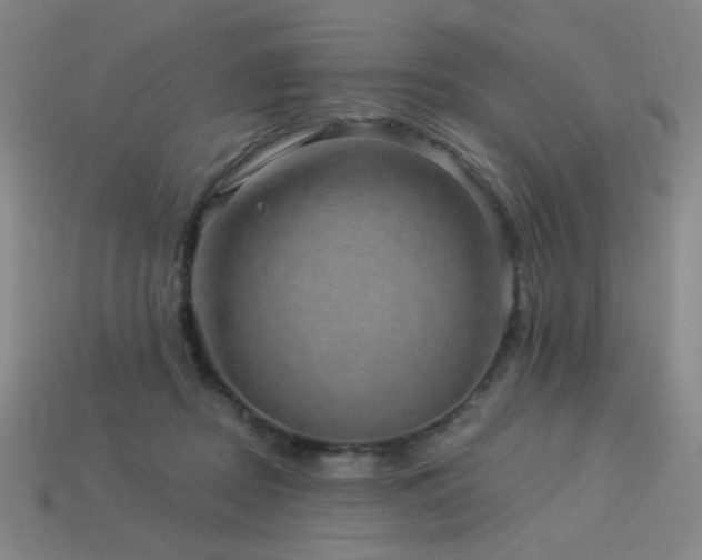 X0000114120362200910051515